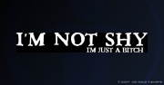 Alternate I'm Just a Bitch Ladies' Women's Clubbing T-Shirt