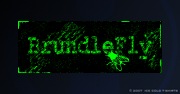 BrundleFly T-Shirt