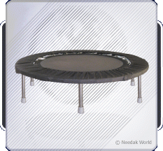 The 2010 Needak Rebounder / Mini-Trampoline 