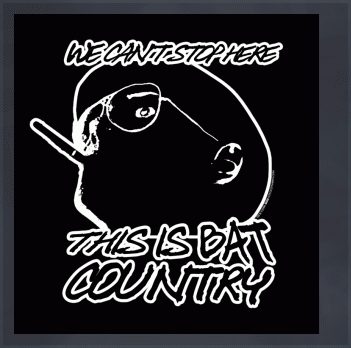 We Can't Stop Here, This is Bat Country (Fear and Loathing in Las Vegas, Hunter S Thompson) T-Shirt